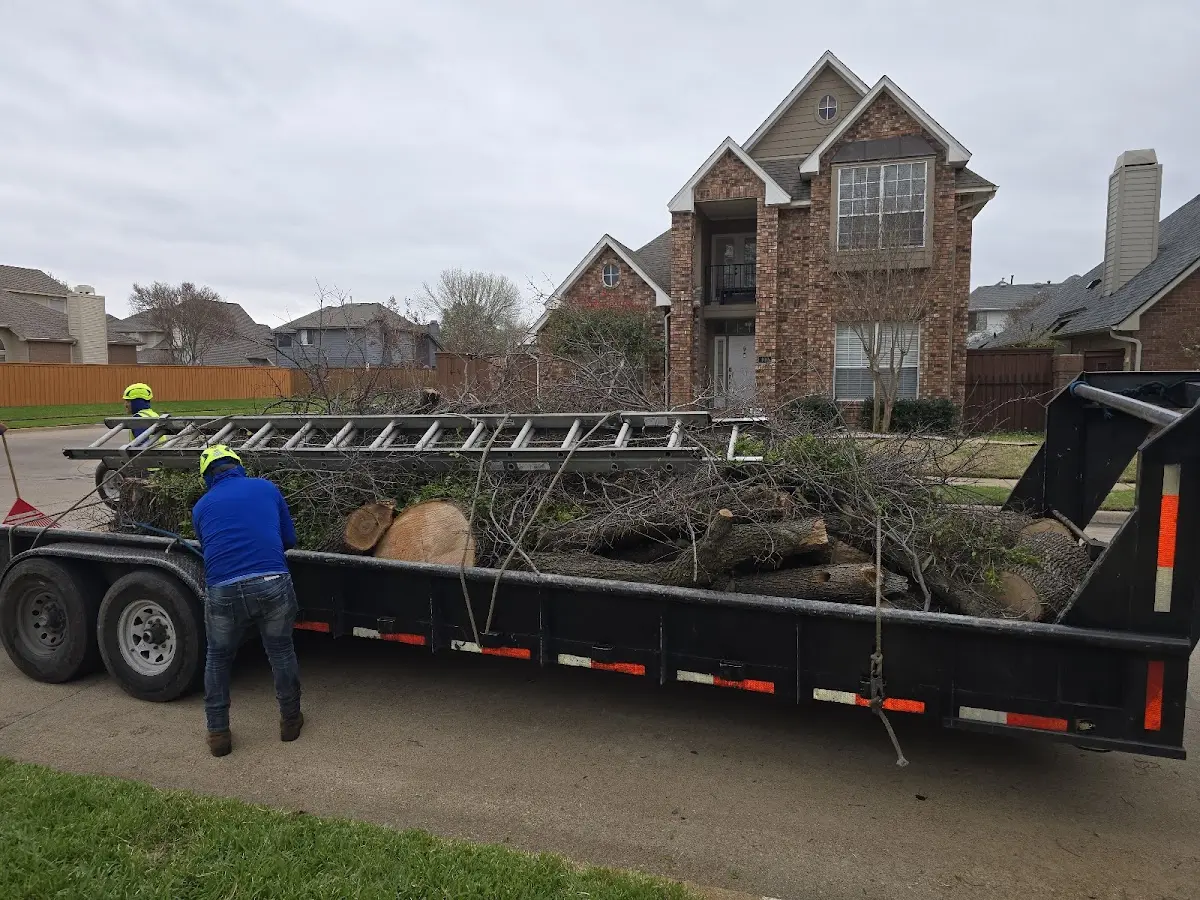 Expert Tree Fertilization with proper safety equipment in Welcome